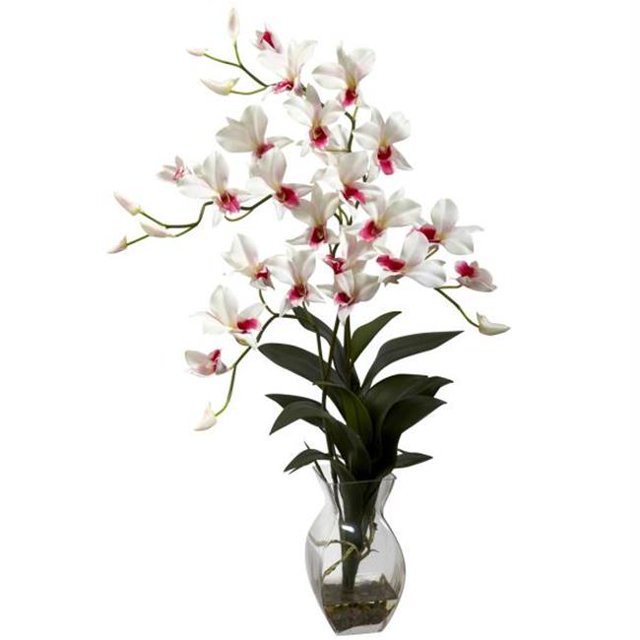 Dendrobium Orchidée avec Arrangement de Vase