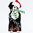 thumbnail image 2 of CafePress - Christmas Bernese Mt Holiday Dog Body Suit - Long Sleeve Cotton Baby Bodysuit, 2 of 4