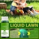 thumbnail image 4 of Nutritiousfor Grass Growingliquid, Rejuvenecimiento Líquido Spray Hierba Micronutrientes Booster Líquido Spray Soluciones 5PCS 60ml, 4 of 7