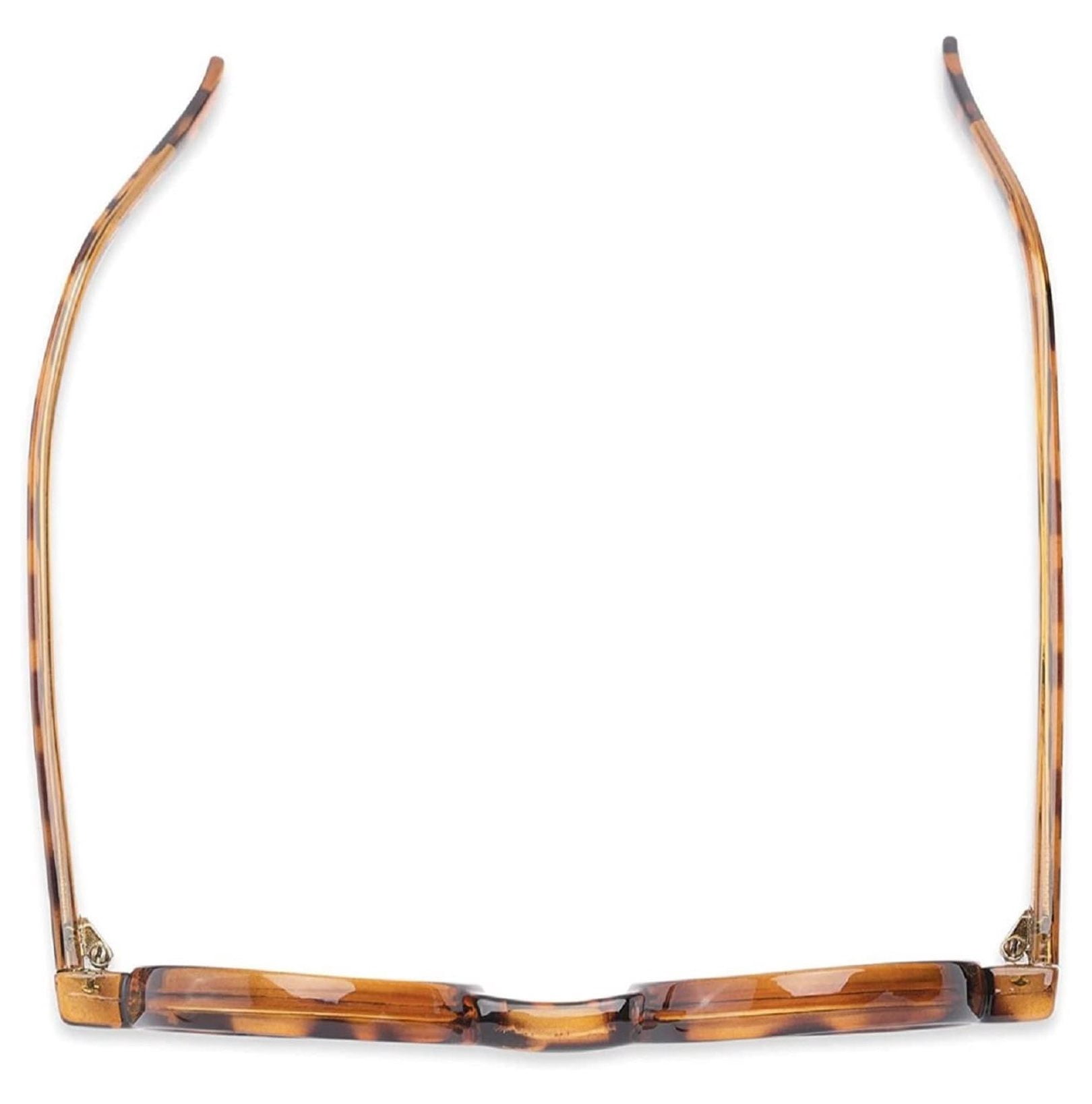 The Wizard, Nerd Style Round Reading Glasses, Totally Round Readers, Black and Brown Tortoise 2.75 2 Brown Tortoise