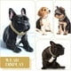 thumbnail image 5 of Aplicável A Collar De Cadena Para Perro Con Eslabones, 5 of 8