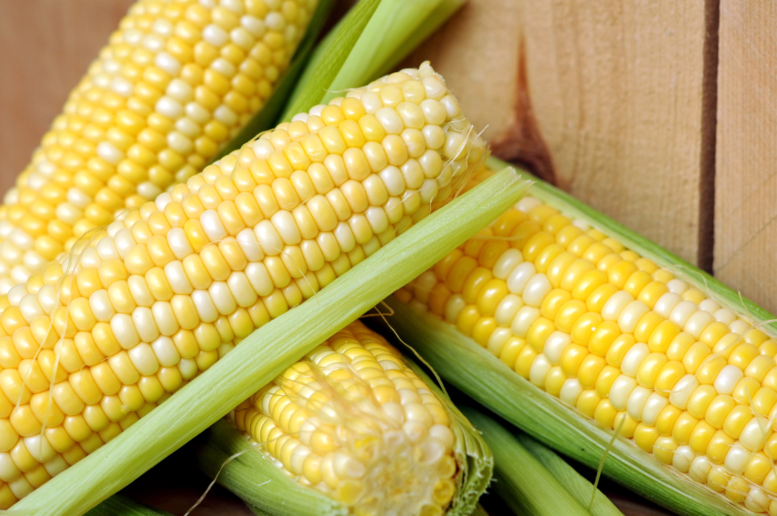 Earthcare Seeds Sweet Corn Peaches and Cream 50 Seeds (Zea Mays) Heirloom Open Pollinated