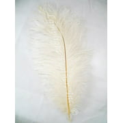 Ivory Mini Ostrich Craft Feathers 5-8 Inch per 25