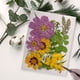 thumbnail image 5 of Moyic Artesanía de flores secas naturales Flores prensadas Ramos en relieve Decoración para tarjetas de boda Pintura de álbum de recortes Flores artificiales  Geben Sie 6 ein Moyic HA010760-06, 5 of 6