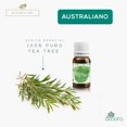 thumbnail image 2 of Aceite Tea Tree Australiano 100% Puro Árbol De Té Certificado, 2 of 5