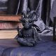 thumbnail image 2 of Collar de magia negra, escultura, artesanía de resina, adornos, Calavera Animal, 2 of 5