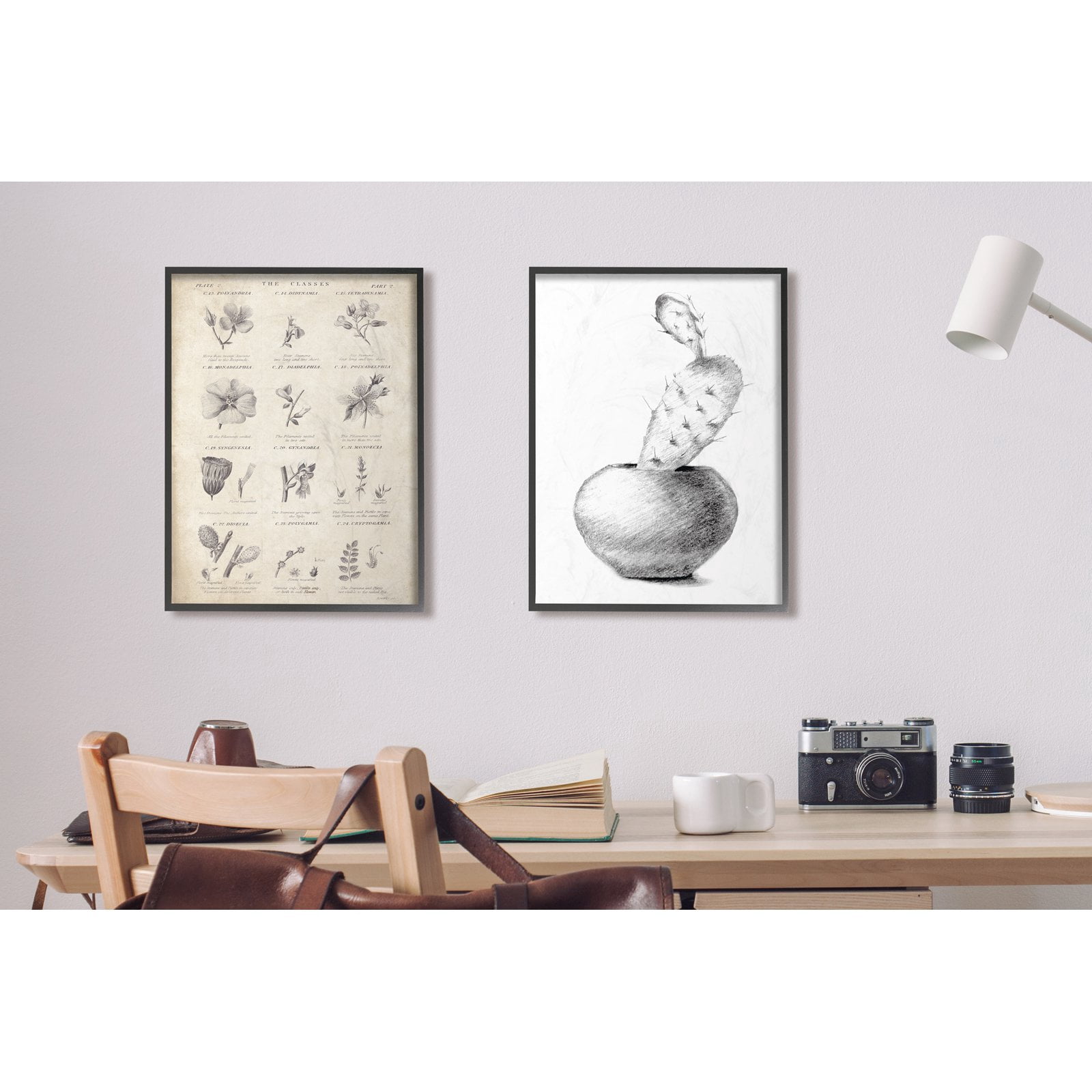 The Stupell Home Decor Collection Cactus Graphite Drawing Wall Art