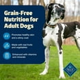 thumbnail image 4 of Blue Buffalo Freedom Grain-Free Natural Adult Dry Dog Food, Chicken & Potatoes, 24-lb. Bag, 4 of 12