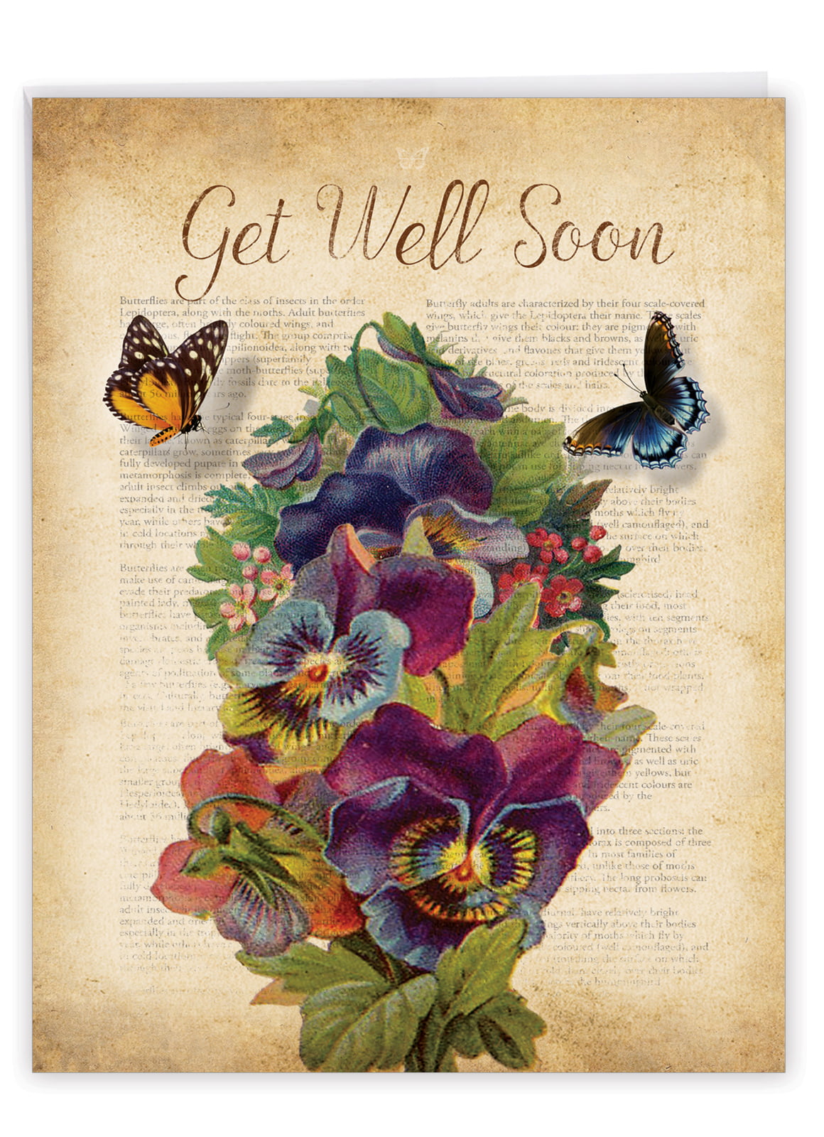 Big Get Well Wishes With Envelope J2721GWG Jumbo Funny Get Well Card Extra Large Version: 8.5 x 11