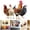 Black, variant on Farmhouse Hen Rooster Wall Decals Chicken Wall Stickers 11.6x9.4 Inch, Roosters Hens Stick Wall Decals for Kitchen Dining Room Pantry Playroom, Home Indoor DIY Fridge Door Window Decor