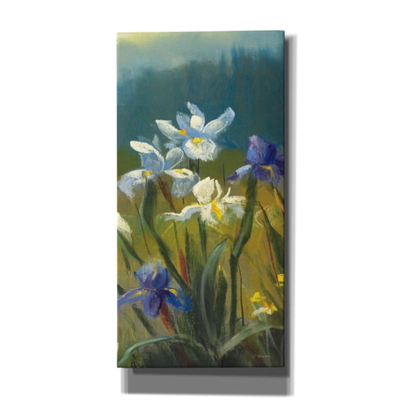 Epic Graffiti 'Wild Iris III' by Carol Rowan, Giclee Canvas Wall Art, 12"x24"