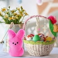 thumbnail image 6 of Guvpev Easter Bunny Toys with Zipper, Shaggy Bunny Peep 6” Collectible Plush Easter Decorations, Cute Bunny Stuffed Animals Zip Up Bag, Easter Basket Stuffers for Kids & Adults, 6 of 13