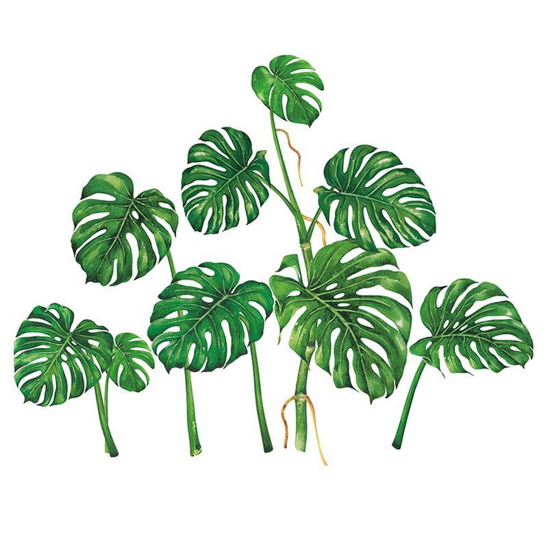 Tropical Leaves Plant Wall Stickers Vinyl Decal Nursery Decor Art Mural Gift .