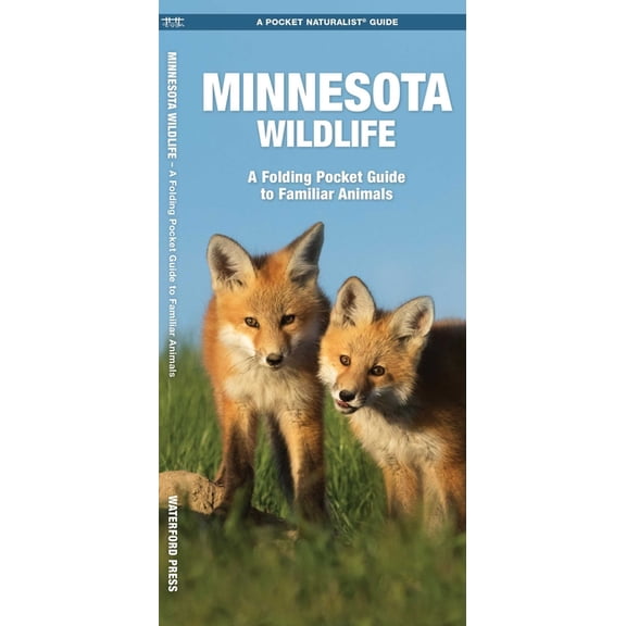 Minnesota Wildlife : A Folding Pocket Guide to Familiar Species