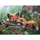 thumbnail image 1 of Cuadros Decorativos 5D Diamond Painting Animal Fox Full Square Drill DIY Wall Art Crafts Mosaico Regalo JShteea Nuevos Originales, 1 of 8