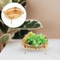 thumbnail image 7 of FELTECHELECTR 1Pcs Golden Gilded Iron Fruit Storage Tray For Restaurant Use 22X17X10.5in, 7 of 7