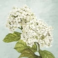 thumbnail image 2 of Hydrangeas III (Aqua) by Remy Dellal, Canvas Wall Art, 24W x 24H, 2 of 2