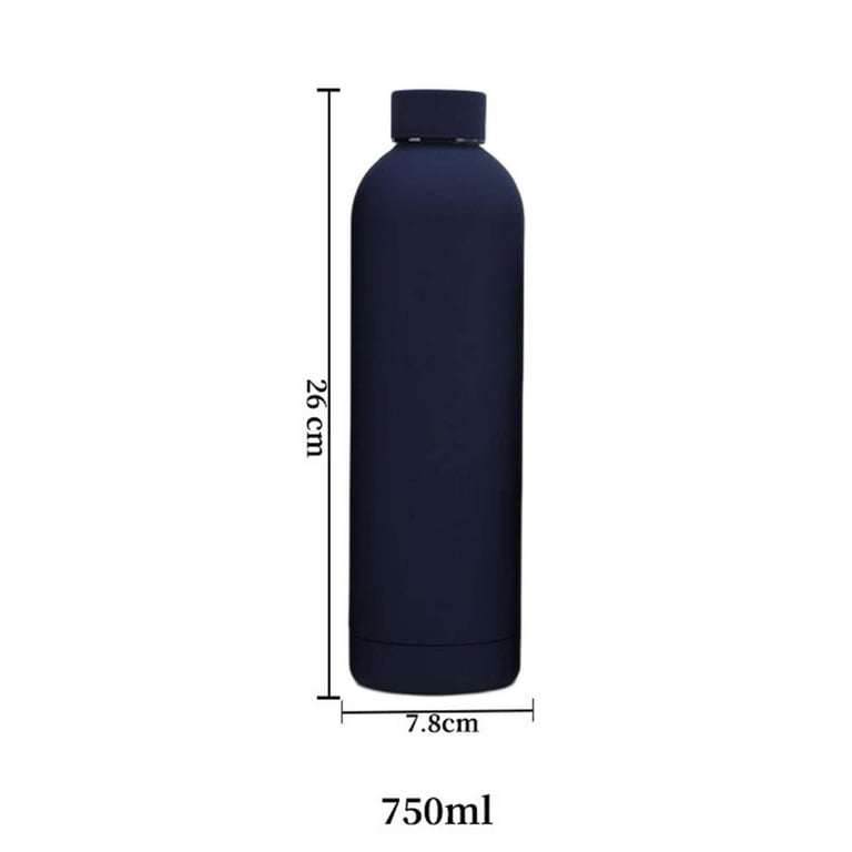 Insulated Water Bottle with Handle Vacuum Tea Lightweight Bottle for  Outdoor Yoga Hiking Travel Backpacking Violet 500ml 