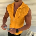 thumbnail image 2 of Top con capucha y cremallera para hombre: sin mangas, informal de verano, color liso, poliéster, talla real, adecuado para el trabajo/las vacaciones, tallas S-XXL, 2 of 8