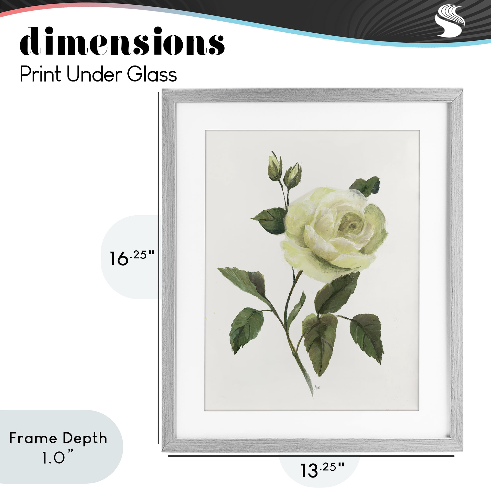 Stupell Industries Cream Garden Rose with Buds Gray Framed Print Under Glass, design by Nan