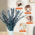 thumbnail image 6 of GoXteam 20pcs Blue Dried Eucalyptus Stems, Natural Eucalyptus Branches for Shower Hanging, 17" Preserved Plants Steam Shower for Women and Men, Relaxation Set, Mother's Day, 6 of 7