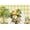 A03: Lemon Gnomes, variant on Placemats Set of 4 Heat-Resistant Rectangle Place Mats Black Leopard Cheetah Washable Plastic PVC Dining Table Mat Non-Slip Wipeable Woven Vinyl Placemat for Kitchen Patio Table Decor