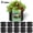 10 pack, variant on Remiawy Grow Bags, 10 Pack 5 Gallon Heavy Duty Thickened Aeration Fabric Pots with Handles, Reusable Nonwoven Garden Containers for Growing Potatoes, Tomatoes, and Vegetables Indoors or Outdoors