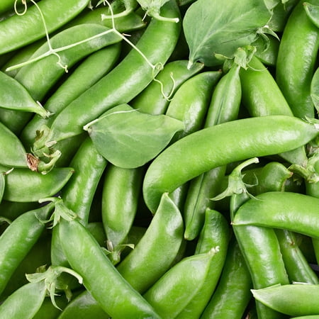 Sugar Ann Snap Pea Seed 26 Gram ~138 Seeds | Heirloom, Non-GMO, Dwarf Short-Vine Variety | 56–70 Days to Maturity | Sweet, Stringless 3" Edible Pods | Compact for Containers
