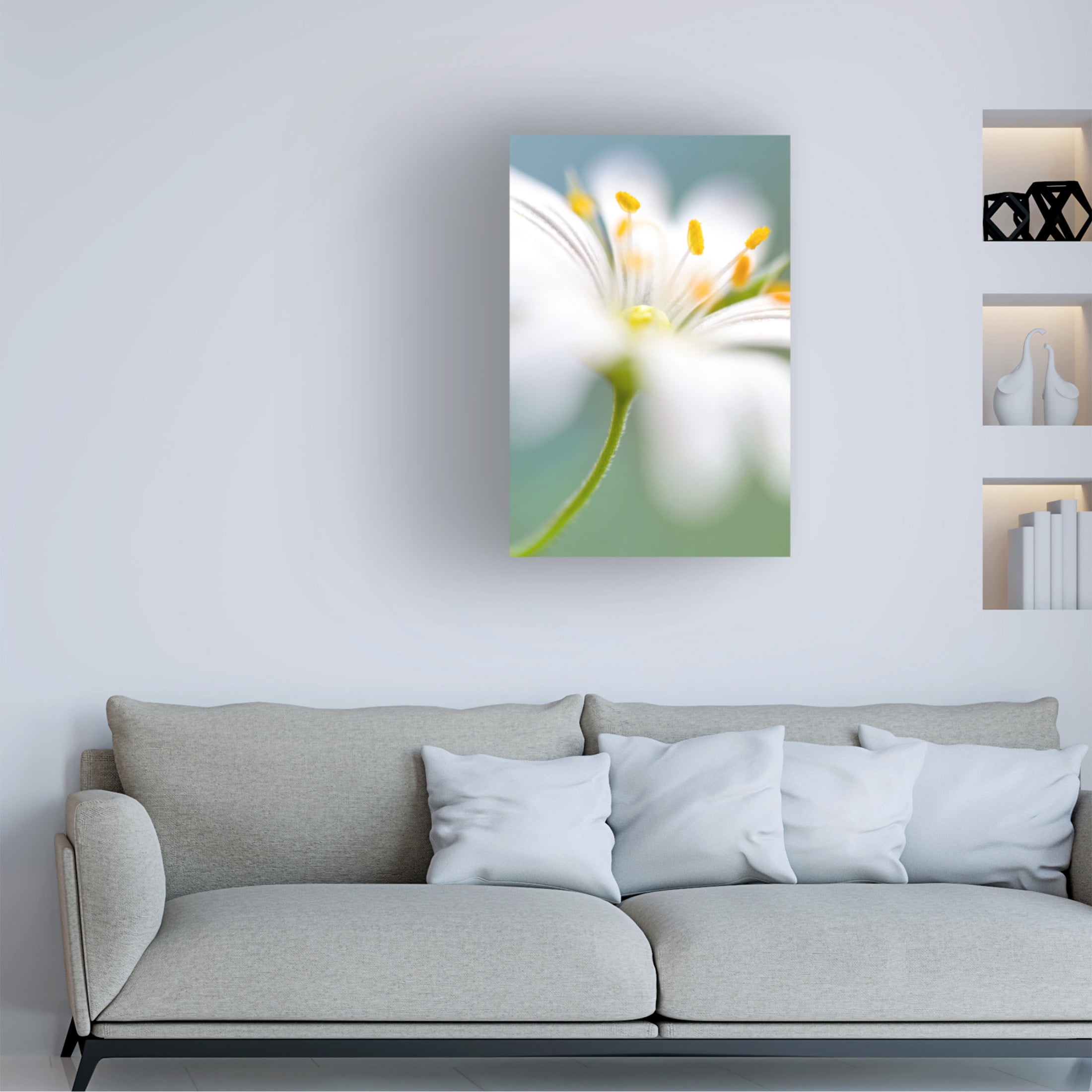 Canvas Wall Art - Mandy Disher 'Stitchwort Surprise' Wall Art for Living Room, Bedroom, or Office D?cor by Trademark Fine Art - 30 x 47 Inches