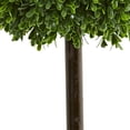 thumbnail image 3 of Nearly Natural 2.5' Boxwood Ball Artificial Topiary Tree UV Resistant (Indoor/Outdoor), 3 of 5