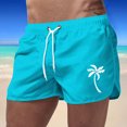 thumbnail image 2 of Kcolen Swim Trunks Men Gradient Swimming Short Lightweight Mens Swimwear Men Swim Trunks Beach Summer Athletic Fit Bathing Suit Beach Board Shorts, 2 of 4
