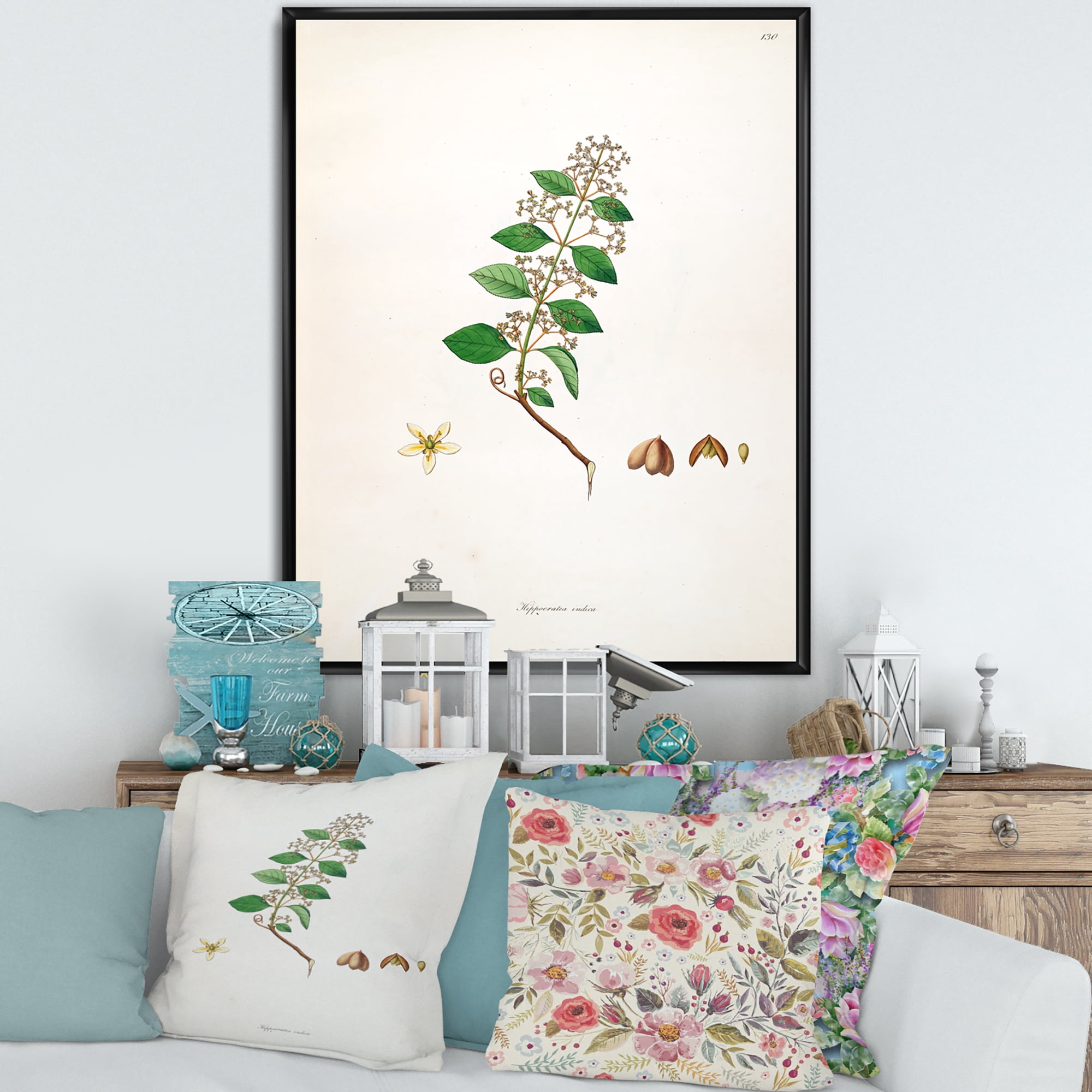 Designart 'Ancient Botanicals I' Farmhouse Framed Canvas Wall Art Print