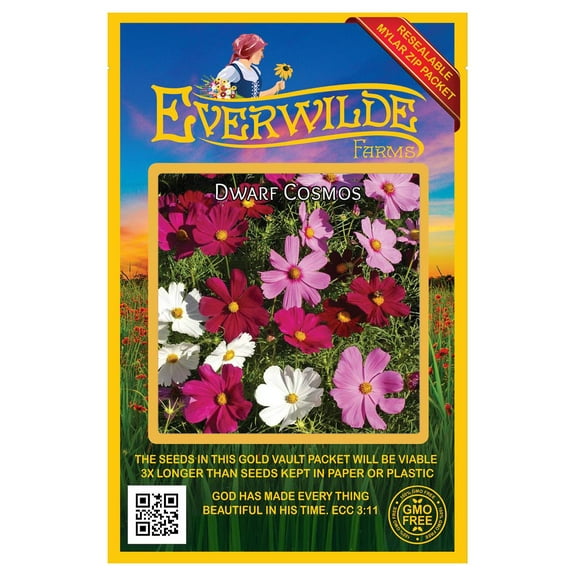 Everwilde Farms - 500 Dwarf Mixed Cosmos Garden Flower Seeds - Gold Vault Jumbo Bulk Seed Packet