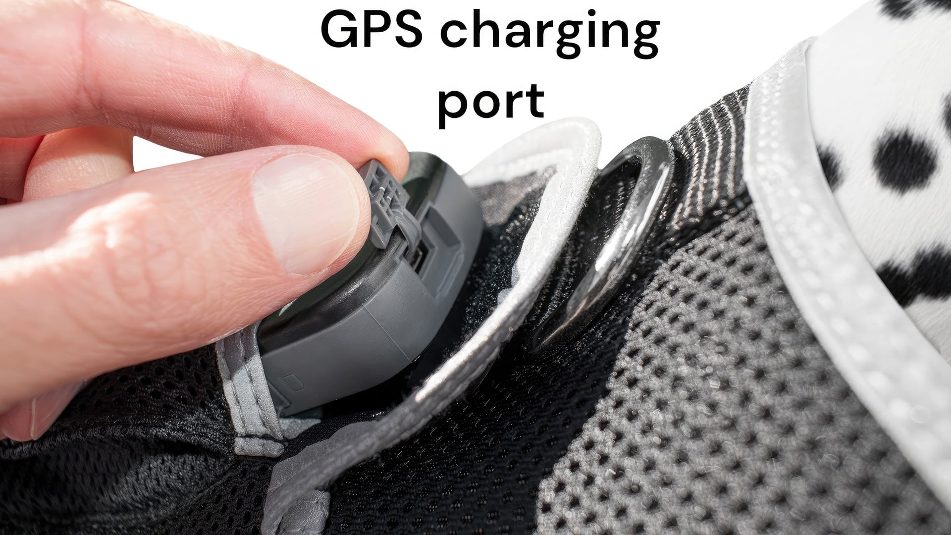 Collar Portable GPS Tracking Device for Pets w/ Perimeter Fence System Size:XS