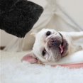 thumbnail image 3 of Couverture Douce Chien Tapis Lavable Polaire pour Chien Chat (L, Noir), 3 of 5