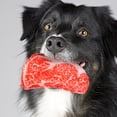 thumbnail image 2 of GOOHOCHY Juguete para perros con forma de filete artificial, juguete masticable con sonido para perros, juguete para masticar con sonido para perros., 2 of 8