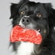 thumbnail image 2 of GOOHOCHY Juguete para perros con forma de filete artificial, juguete masticable con sonido para perros, juguete para masticar con sonido para perros., 2 of 8