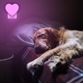thumbnail image 5 of Cute Night Light Heart-Shaped Birthday Gift Nightlight Portable Room Decor Pink 1pack LED Kitchen Nightlight for Home, 5 of 6
