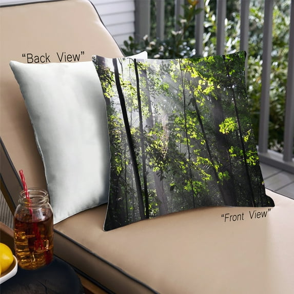 Ahgly Company State Kentucky Outdoor Throw Pillow, 18 inch by 18 inch