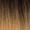 T1B/27, variant on Sensationnel Empire 100% Human Hair Yaki Weave - 16"