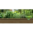 thumbnail image 5 of Algreen Products 34004 Raised Garden Bed, 5 of 6