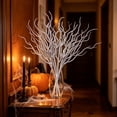 thumbnail image 4 of WWG Halloween Wreath for Front Door, Plastic Dried Branch Wreath, Indoor Outdoor Door Wreath, Versatile Wall Window Porch Decor, Includes 1 Piece, 4 of 6