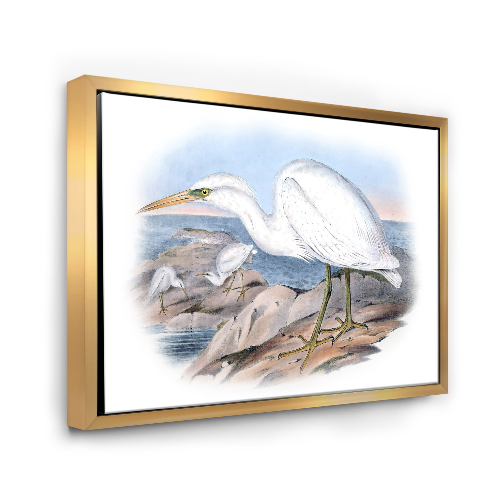 Designart 'Ancient Australian Birds XIII' Traditional Framed Canvas Wall Art Print