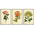 thumbnail image 3 of PixonSign Framed Wall Art Print Set Vintage Watercolor Rose & Peony Variety Floral Wilderness Illustrations Modern Art Glam Colorful Multicolor Cool for Living Room, Bedroom, Office - 16"x24"x3 White, 3 of 5