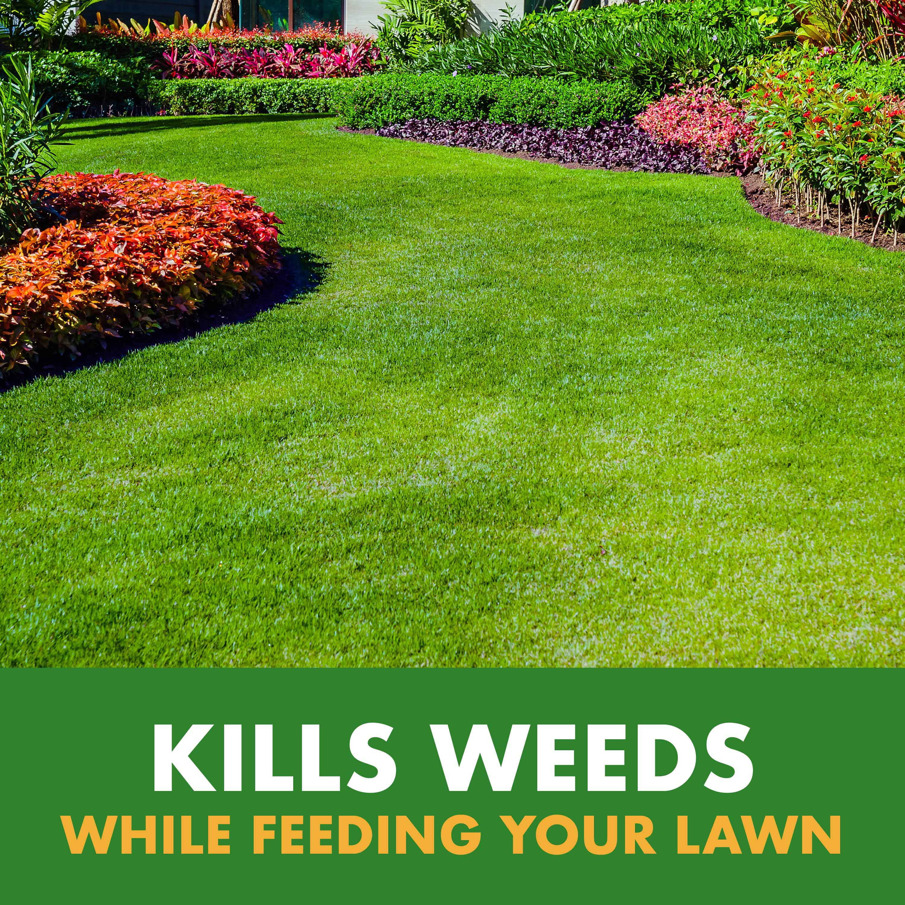 Spectracide Weed & Feed 20-0-0, Easy to Use QuickFlip Sprayer Kills Weeds & Feeds Lawn, 32 Ounces