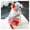 Red, variant on Cartoon Pet Leash and Sun Hat Set 16pcs Outdoor Summer Costume Accessories for Small Dogs and Cats Suitable for Puppy Kitten Toy Breed Cats(M,Green)