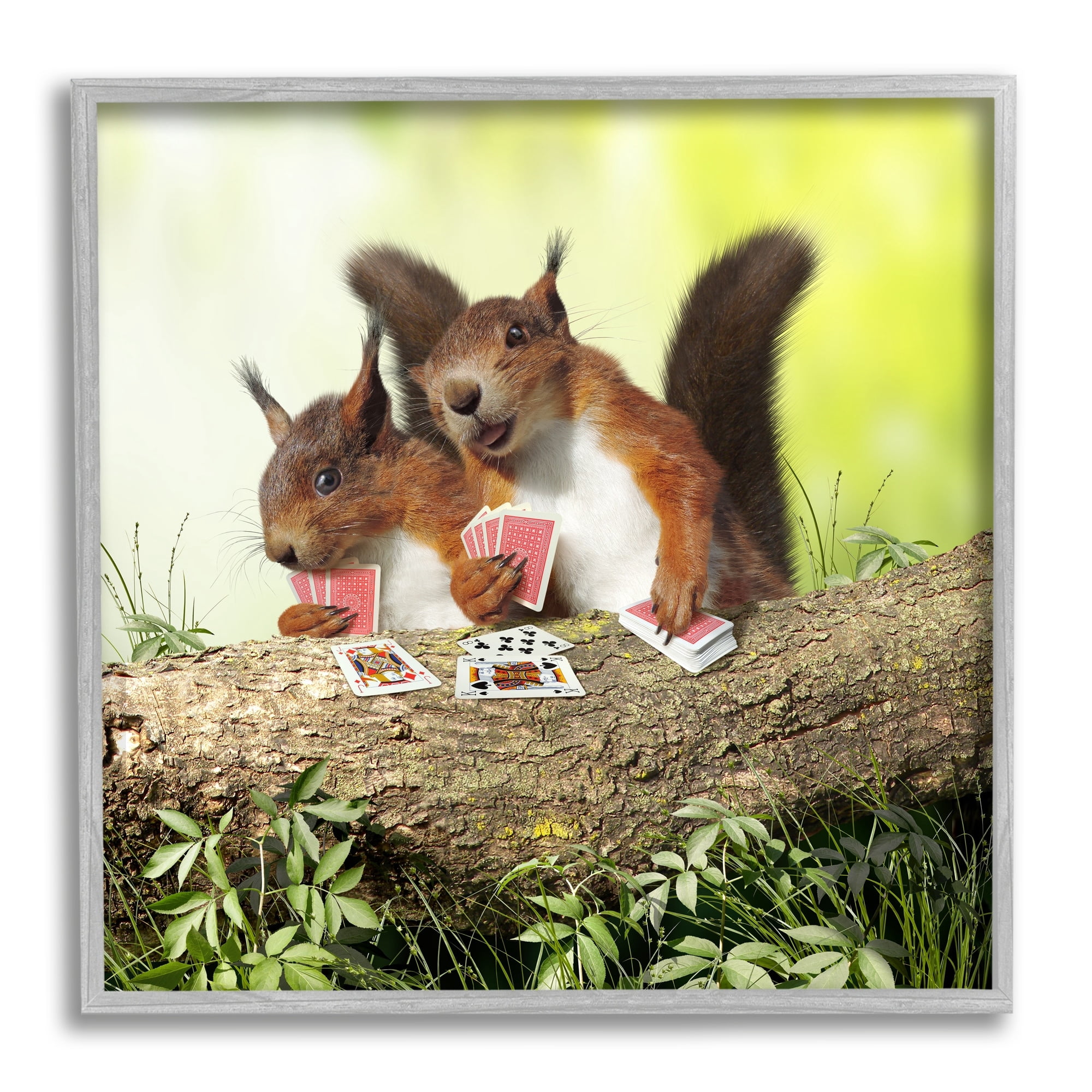 Stupell Industries Silly Squirrels Playing Card Games Tree Branch Photograph Gray Framed Art Print Wall Art, Design by Chiara
