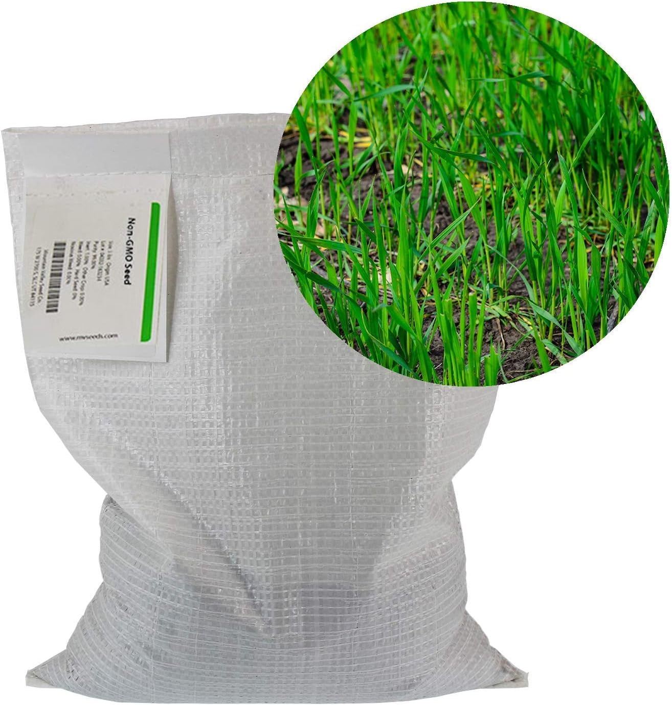 No-Till Winter Rye Seeds - 5 Lbs - Non-GMO Rye Grain Cover Crop Seeds by Mountain Valley Seed Company.
