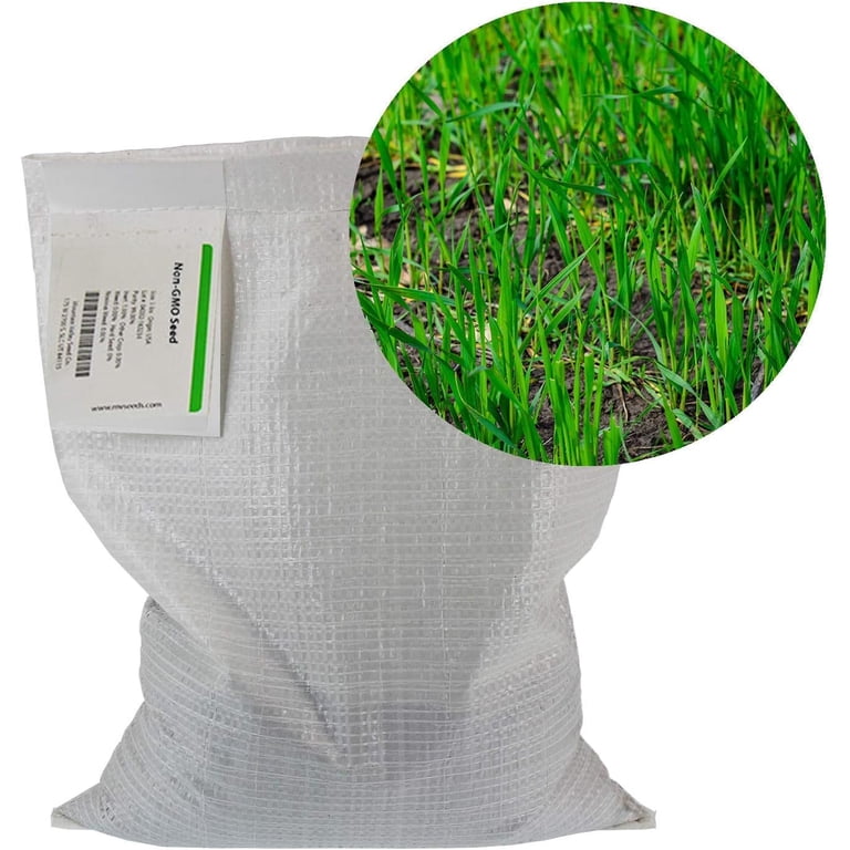 401 Winter Rye Rye Berries Wheat Berries Organic Canada Winter Wheat Seed No-Till ...