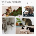 thumbnail image 5 of PawHut Cat Tree with Sisal Scratching Post Condo and Hanging Rope 44.5" H, Beige, 5 of 9